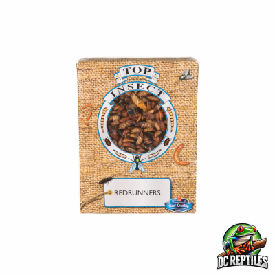 Corridori rossi 1LT 450g