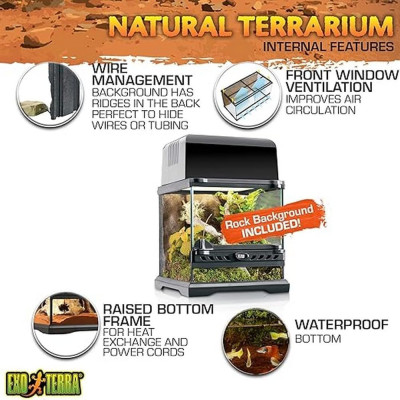Exo Terra Nano terrarium 20x20x20cm