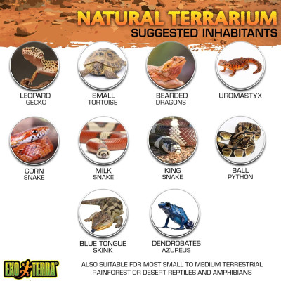 Exo Terra Nano terrarium 20x20x20cm