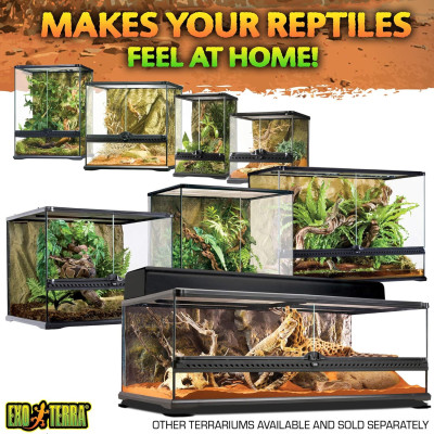 Exo Terra Nano terrarium 20x20x20cm