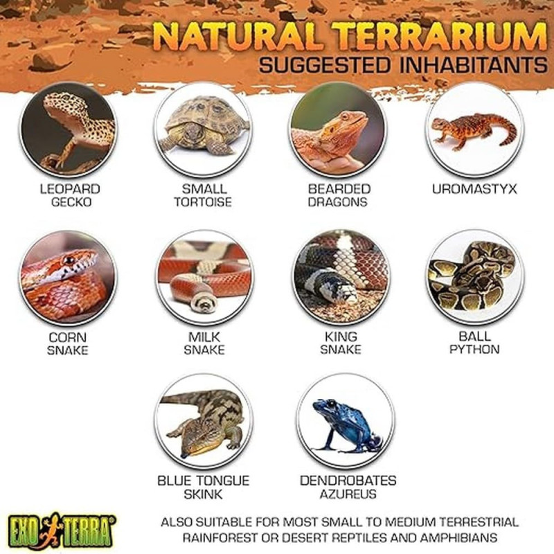 Exo Terra terrarium 60x45x60cm