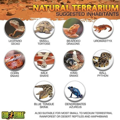 Exo Terra terrarium 60x45x30cm Exo Terra terrarium 60x45x30cm