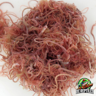 Tubifex 100g