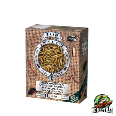 Vermi della farina 1LT 450g